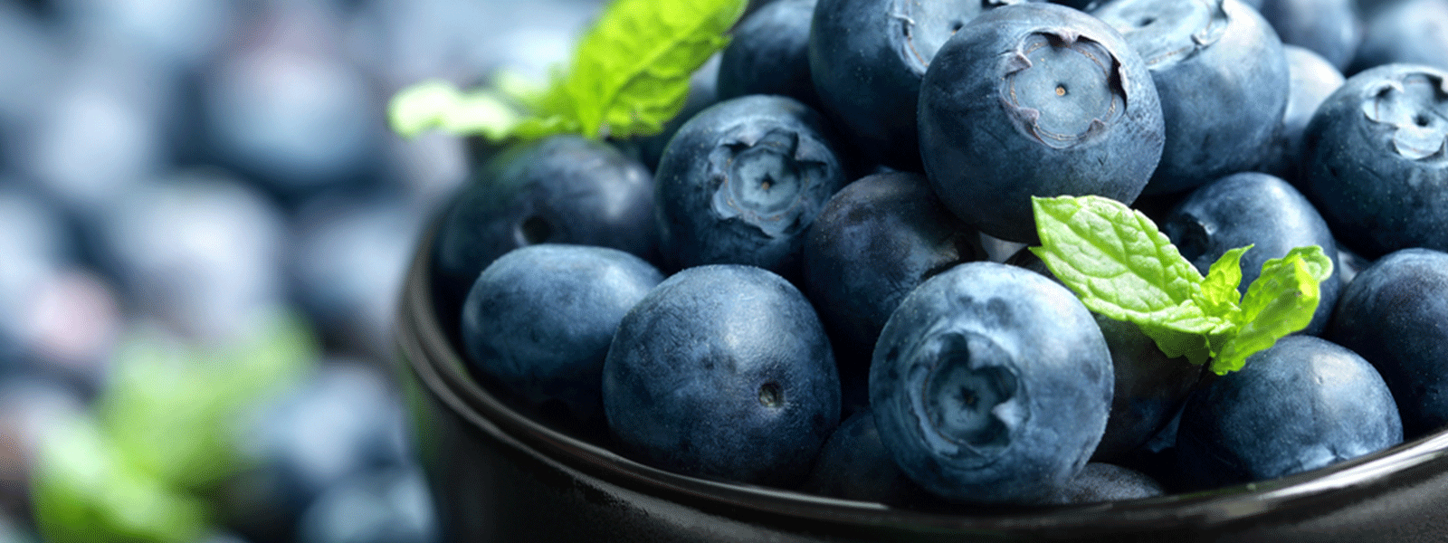 slider blueberry